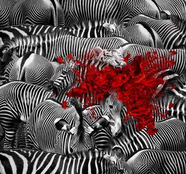 Photograph Elena Vizerskaya Mystery Of Death on One Eyeland